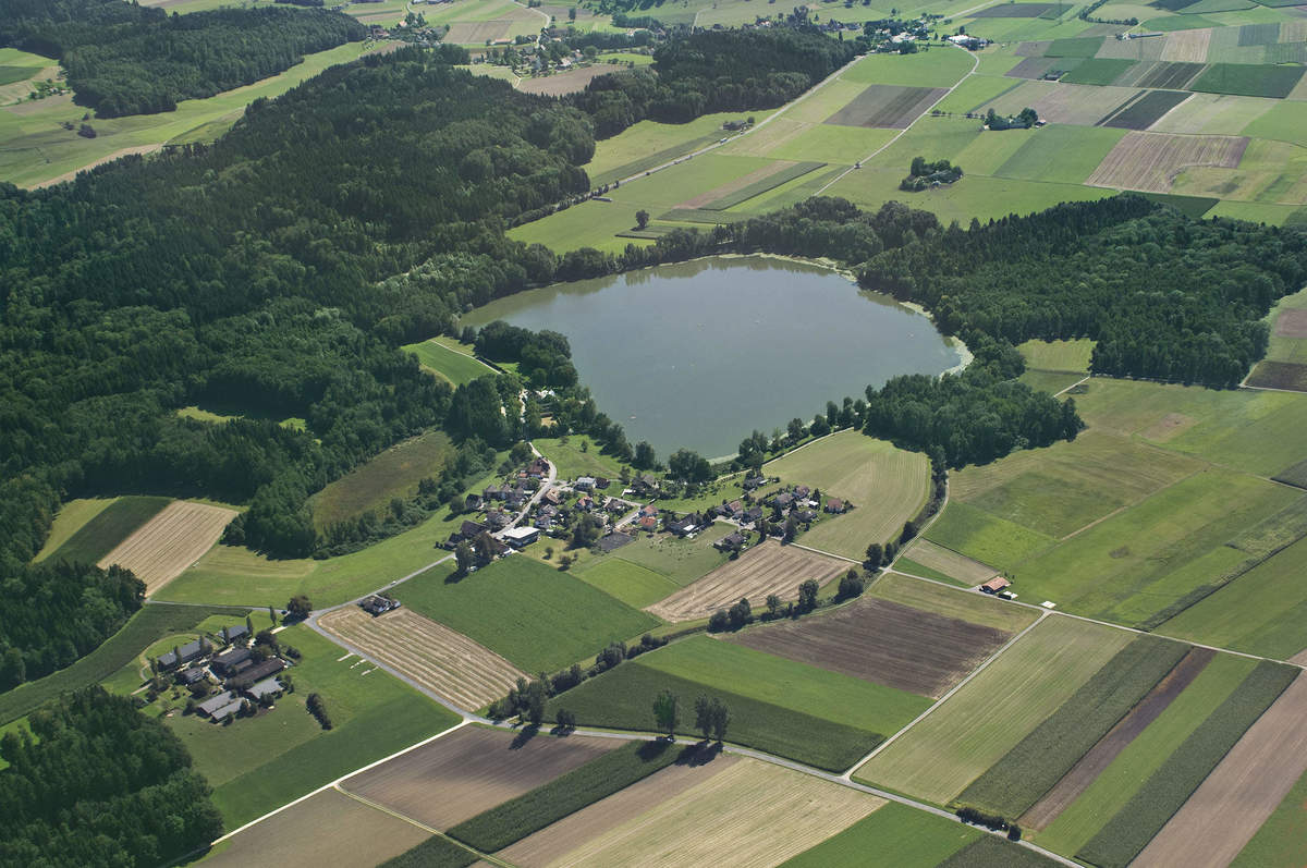 Der Klimawandel und der Wald