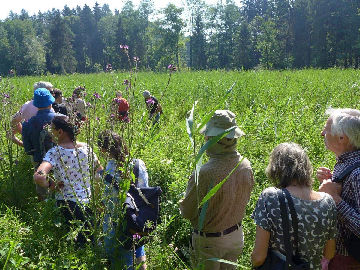 Bericht: Der Klimawandel und der Wald / Waldbegehung am Burgäschisee