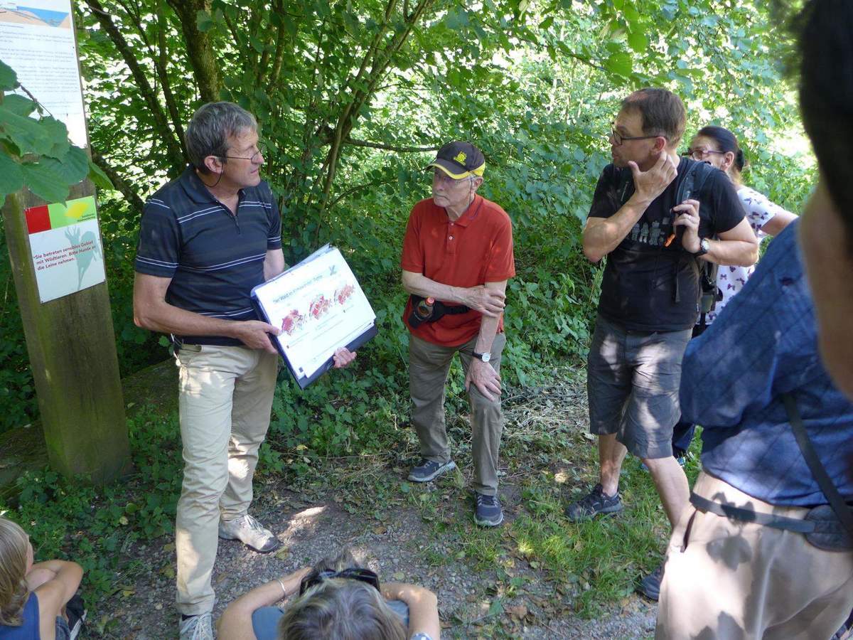 Bericht: Der Klimawandel und der Wald / Waldbegehung am Burgäschisee