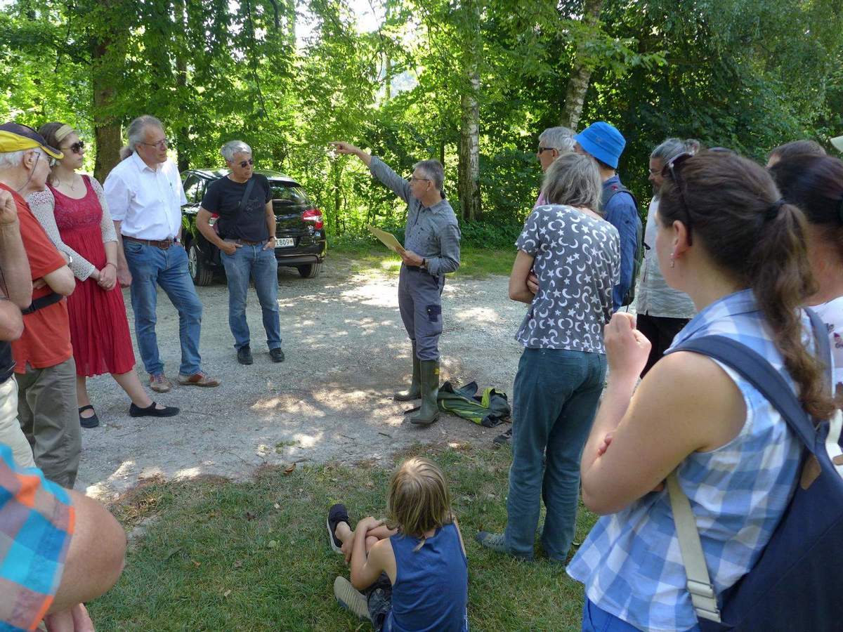 Bericht: Der Klimawandel und der Wald / Waldbegehung am Burgäschisee