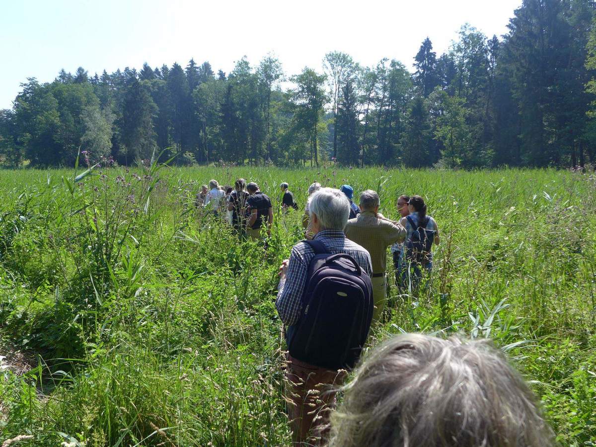 Bericht: Der Klimawandel und der Wald / Waldbegehung am Burgäschisee