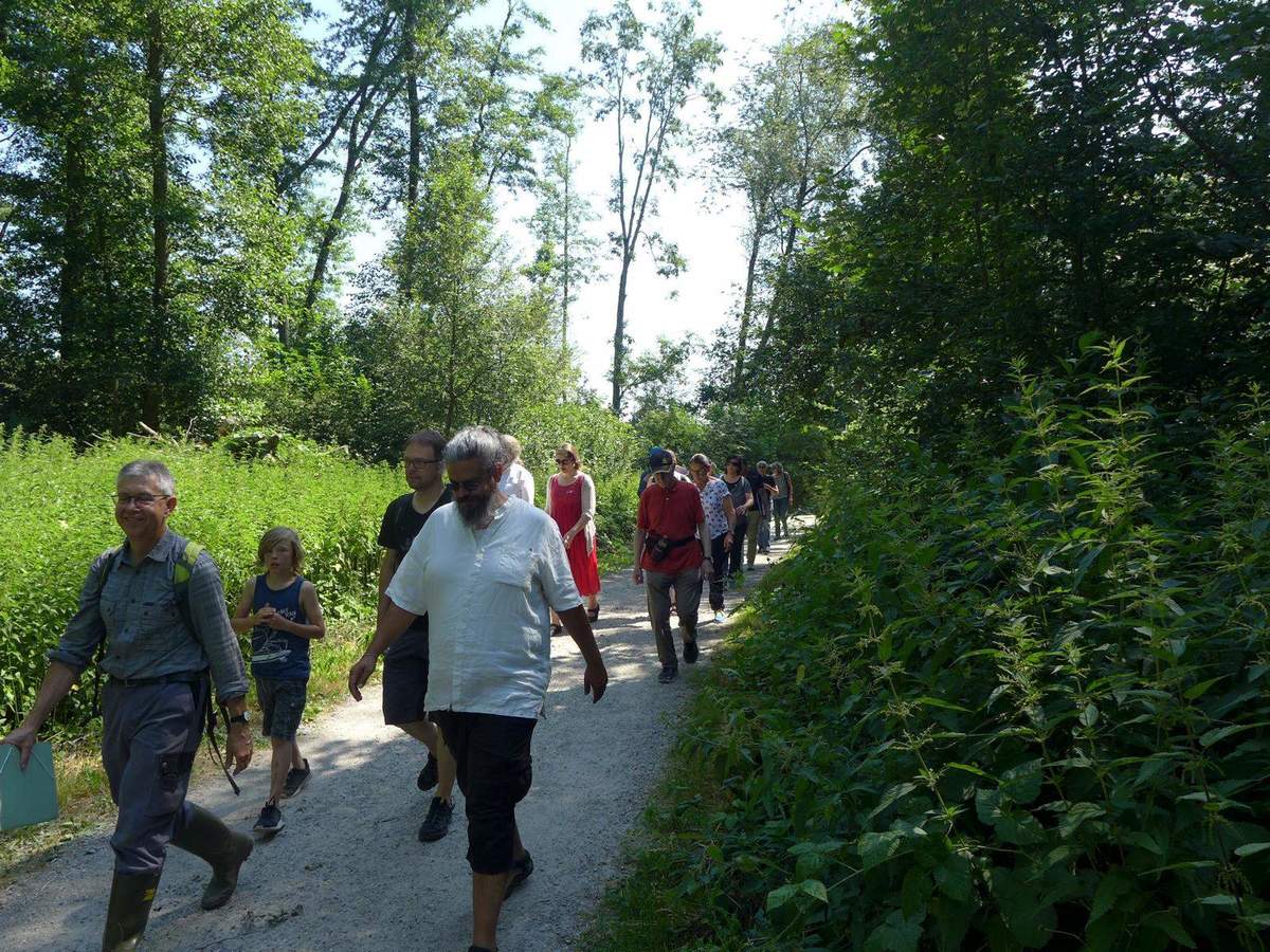 Bericht: Der Klimawandel und der Wald / Waldbegehung am Burgäschisee