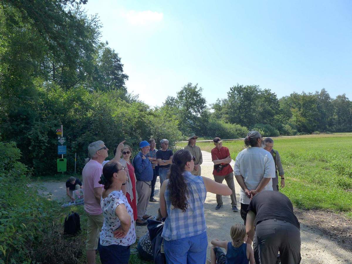 Bericht: Der Klimawandel und der Wald / Waldbegehung am Burgäschisee